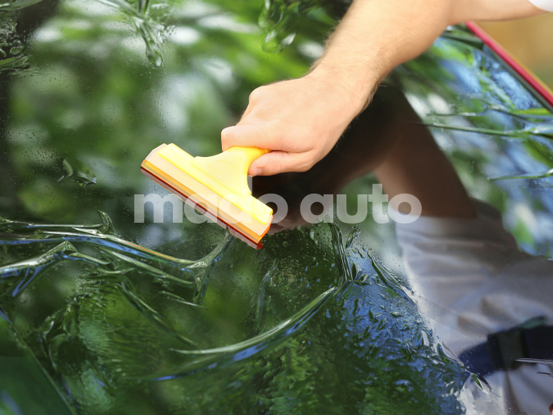 Xem Ảnh Lớn